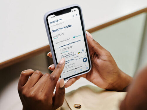Browsing Chesapeake regional website